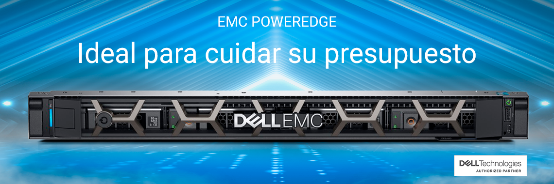Dell EMC PowerEdge R240 Server Servidor