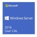 Licencia CAL Windows Server 2016 ROK Hewlett Packard Enterprise 871177-DN1 - Usuarios Locales, Licencia de acceso de cliente (CAL), 5 licencias, BRA, Inglés