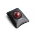 Kensington Expert Mouse Wireless Trackball - Bola de seguimiento - diestro y zurdo - óptico - 4 botones - inalámbrico - 2.4 GHz, Bluetooth 5.0 LE - adaptador USB Bluetooth - negro Kensington Expert Mouse Wireless Trackball - Bola de seguimiento - diestro y zurdo - óptico - 4 botones - inalámbrico - 2.4 GHz, Bluetooth 5.0 LE - adaptador USB Bluetooth - negro