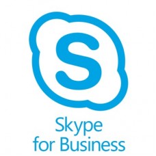 Skype for Business Server  MICROSOFT STD 2019 DVC CAL - Skype for Business Server