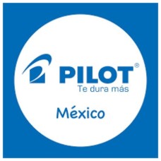 Marcador Pilot TEXTIL Laundry-Tec tinta permanente e impermeable C/12 Pzas Marcador Pilot TEXTIL Laundry-Tec tinta permanente e impermeable C/12 Pzas